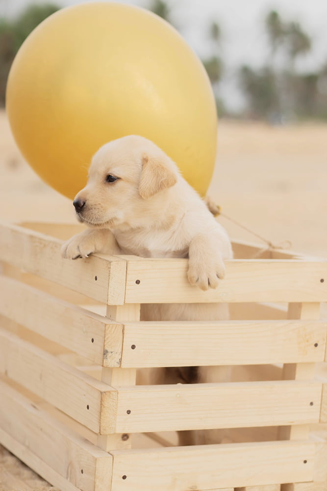 Hero Section - Slide - Home - 04